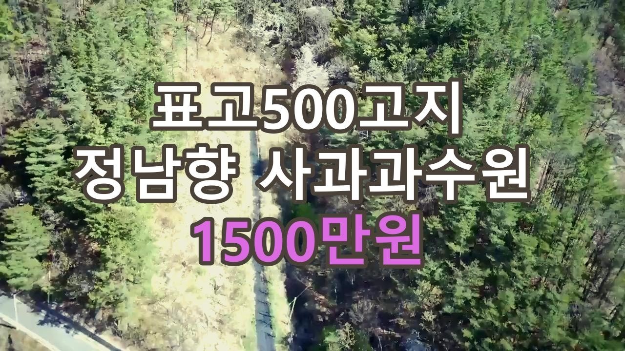 가격인하되어 급매물로 올립니다. 많은 검토 부탁드립니다. #안동부동산#싼땅#경북땅#시골땅#촌땅 #자연인 토지
