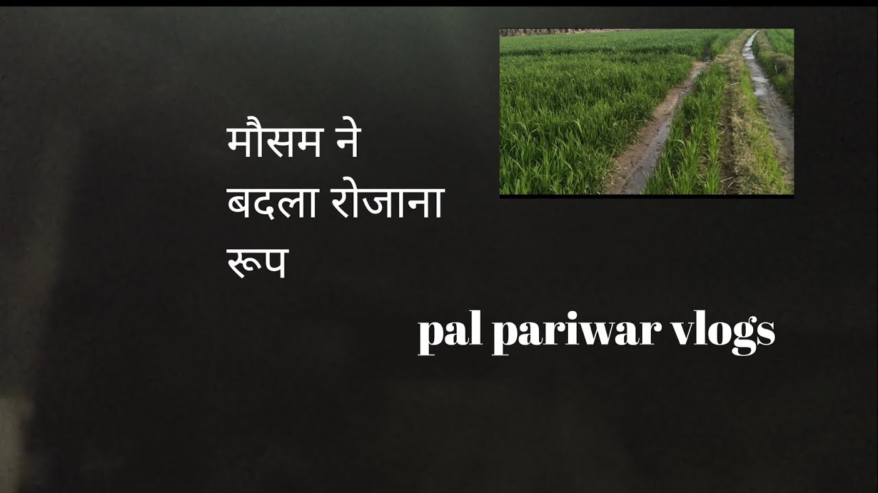 मौसम ने बदला रोजाना अपना रूप कभी हुई धूप तो हुई कभी बारिश pal pariwar vlogs 