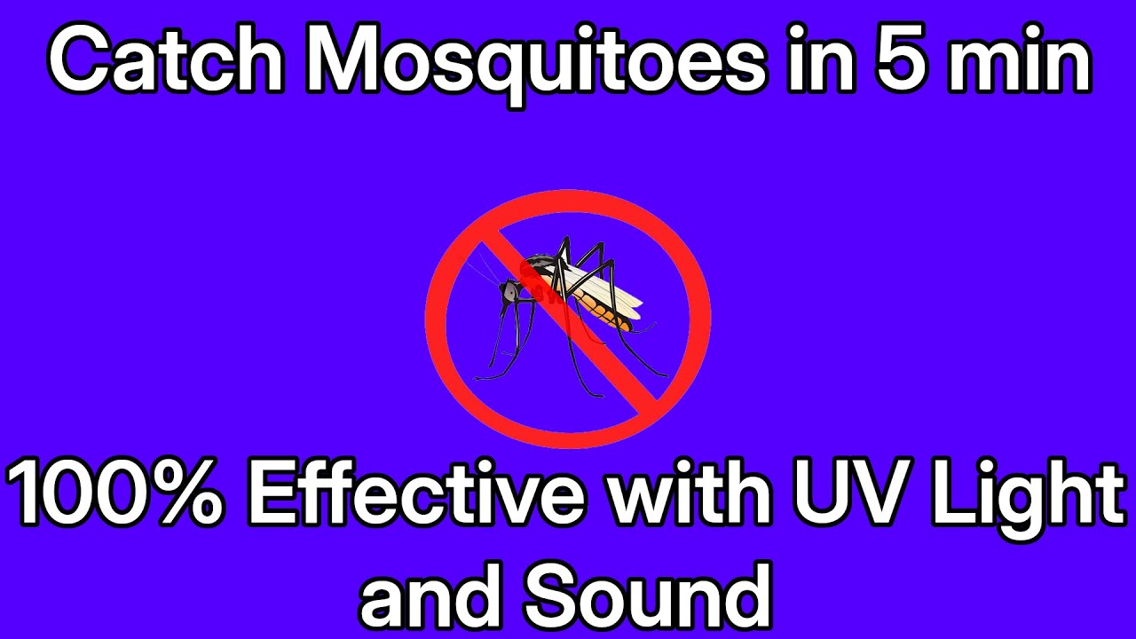 ATTRACT MOSQUITO SOUND UV LIGHT / FIND MOSQUITO IN ROOM 100% EFFECTIVENESS