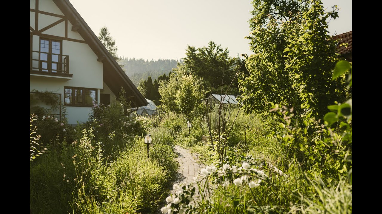 2025 06 21 - przesilenie. Przydługawy spacer po ogrodzie o świcie.