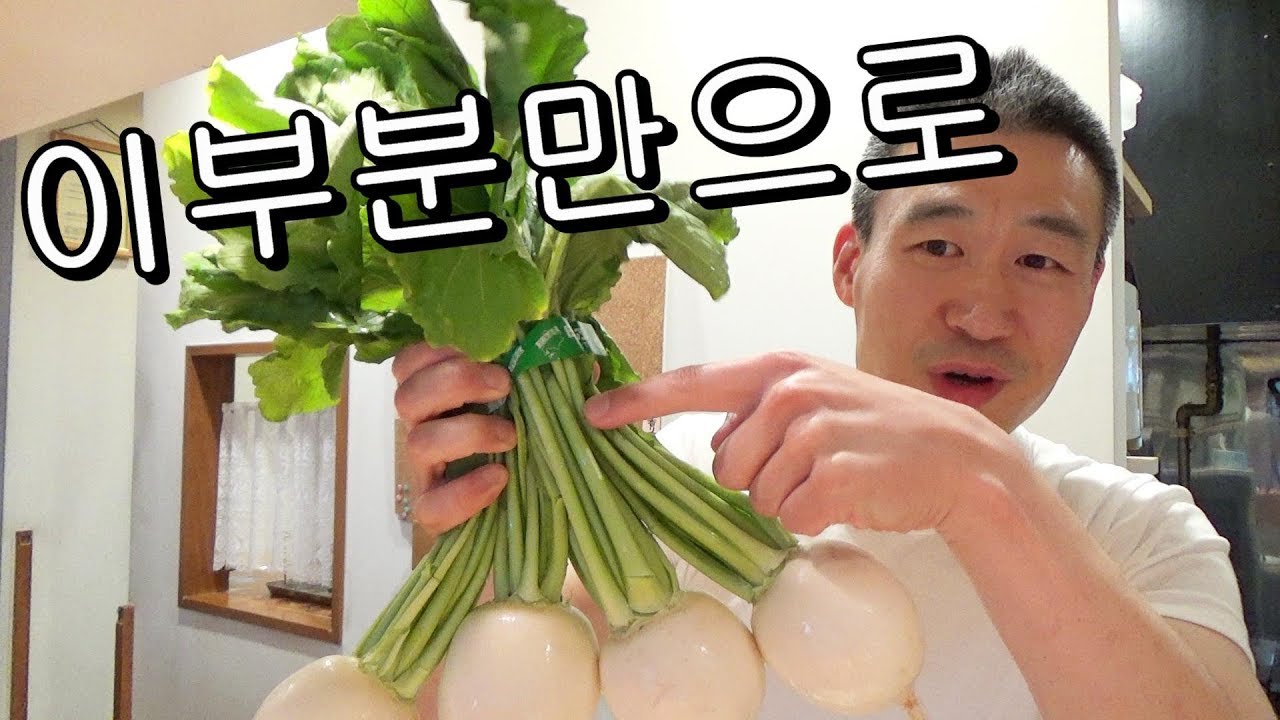 소박한 일본요리 이것만으로 만들볼게요 How to Eat Turnip Leaves