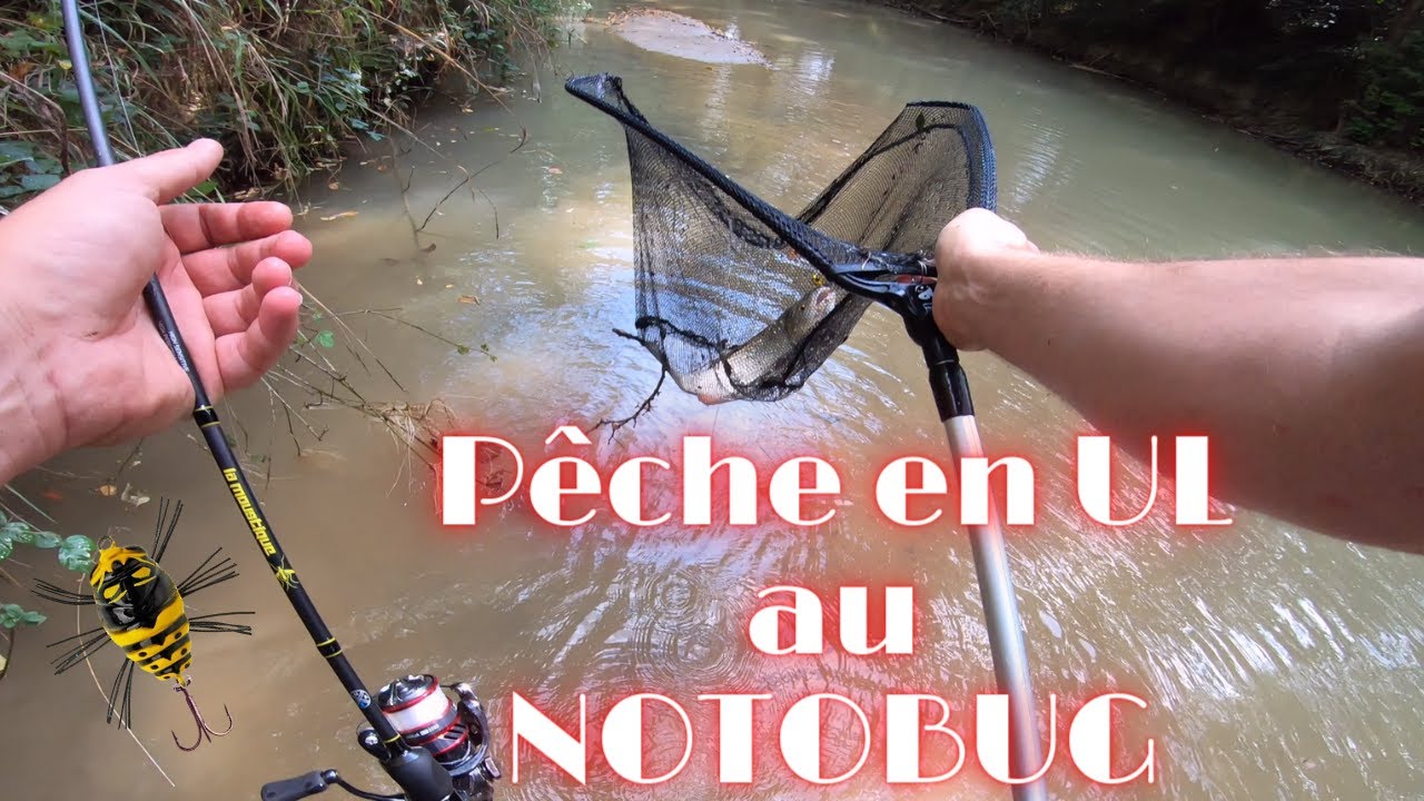 PECHE EN UL :  NOTOBUG avec la MOUSTIQUE