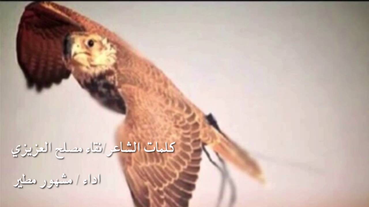 حنا مطير, كلمات الشاعر: نقاء مصلح العزيزي . اداء : مشهور مطير