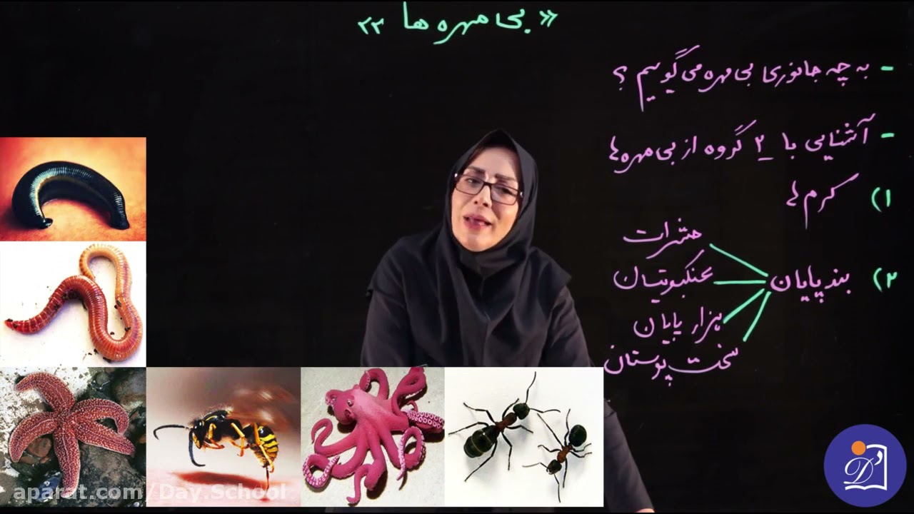 دبستان دی - پایه چهارم - علوم - درس یازدهم - بی مهره‌ها (بخش دوم)