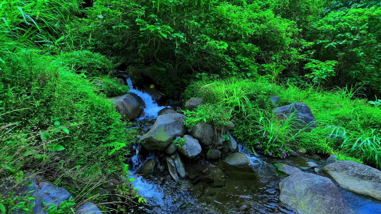 Mountain Stream Sounds – Relaxing Water Flow & Nature White Noise for Sleep