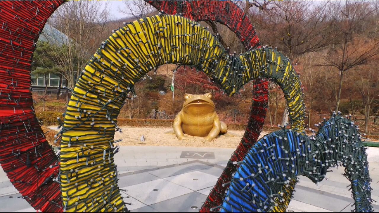 신구대학교 식물원(겨울)