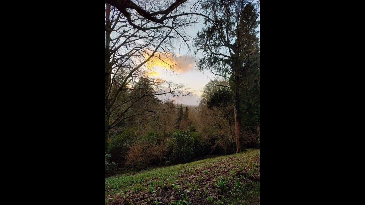 The Shell House at Endsleigh House hotel - gentle water and bird song