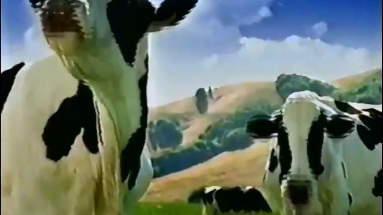 Real California Cheese The Singing Cows 2000 TV Commercial HD