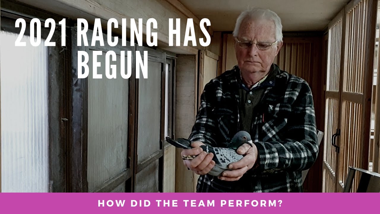 C. B. and C. Harris Pigeons - First race of 2021
