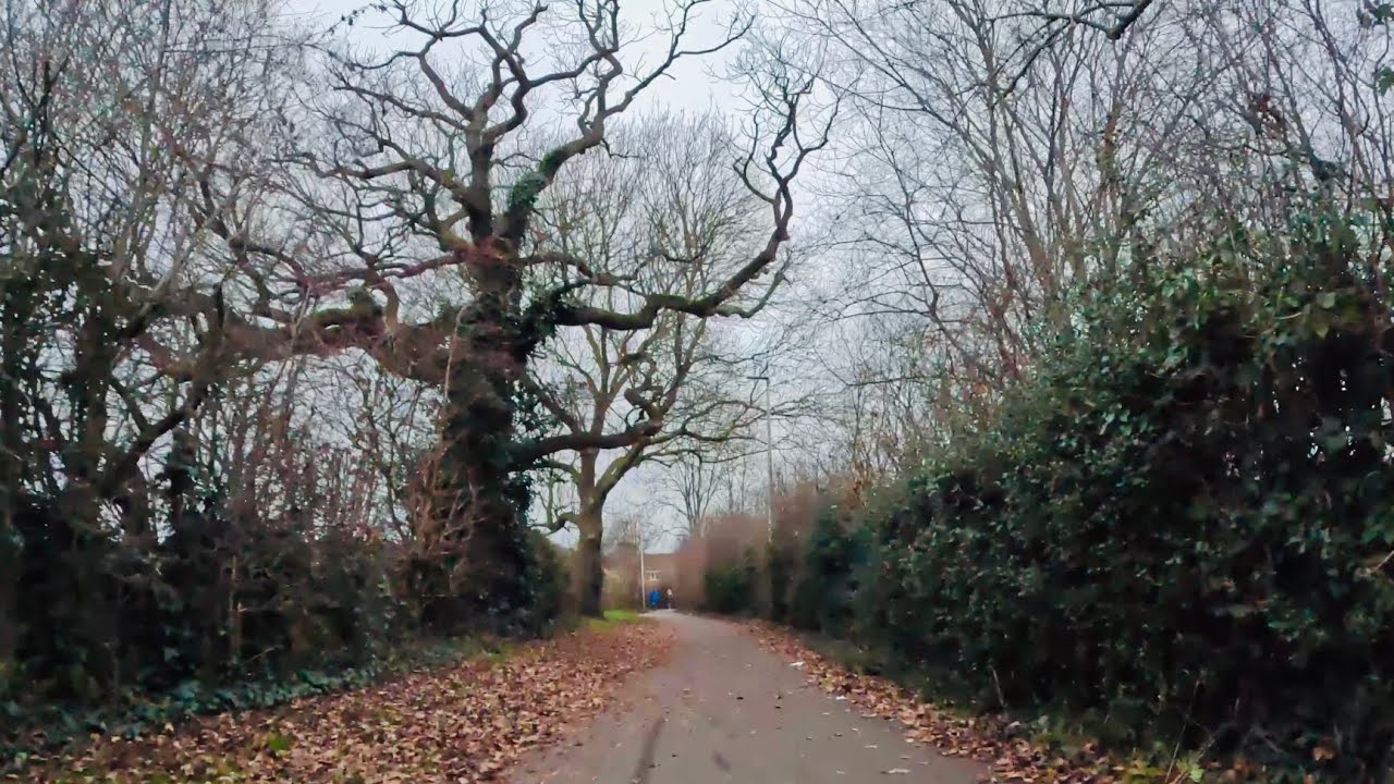Afternoon walk, Leighton Crewe