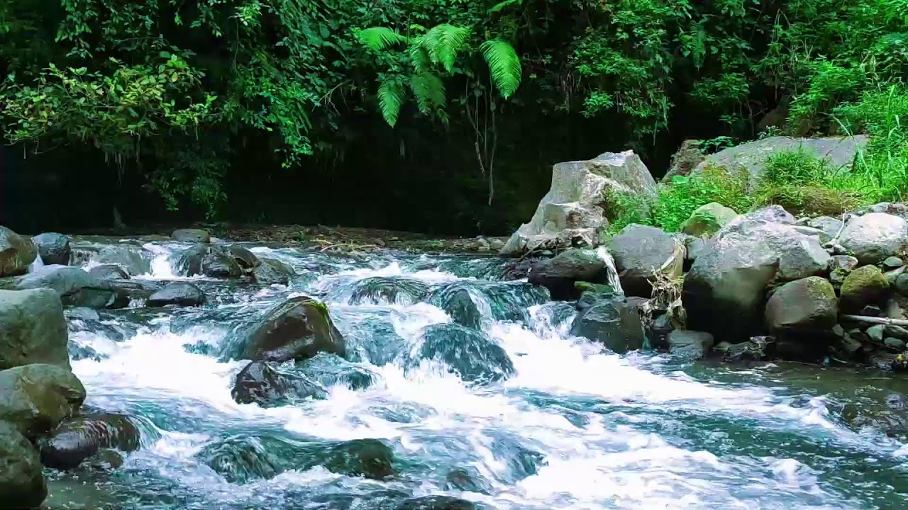 Soft River Water Sounds  Natural Sleep Aid for Stress  Anxiety Relief