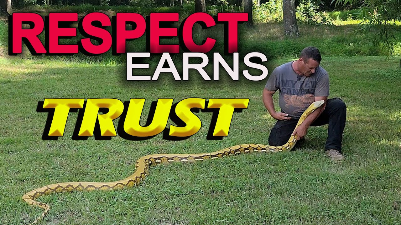 Response to Bad Snake Handling Postings.