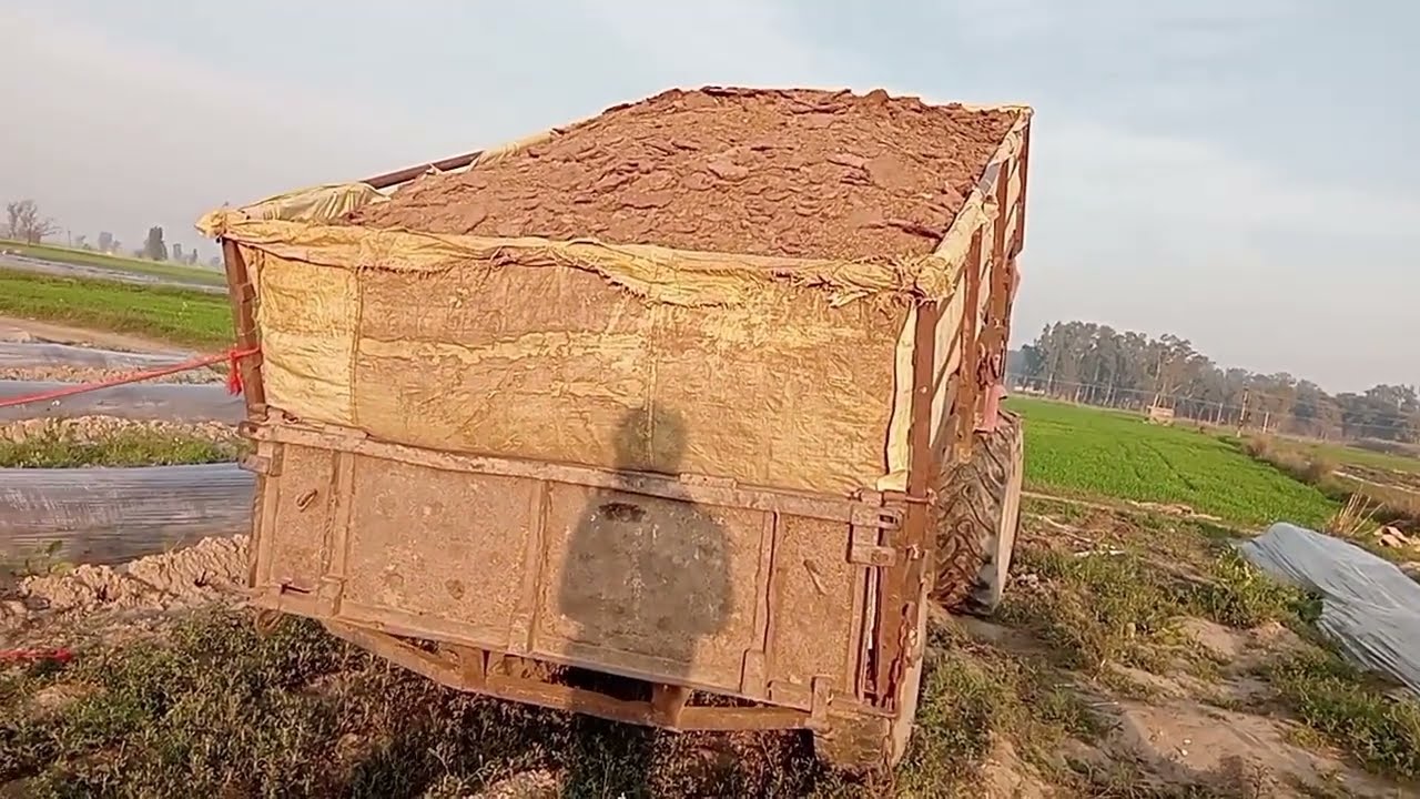 Tractor ki video murgi form