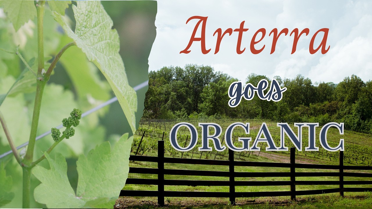 Organic Journey at Arterra Wines