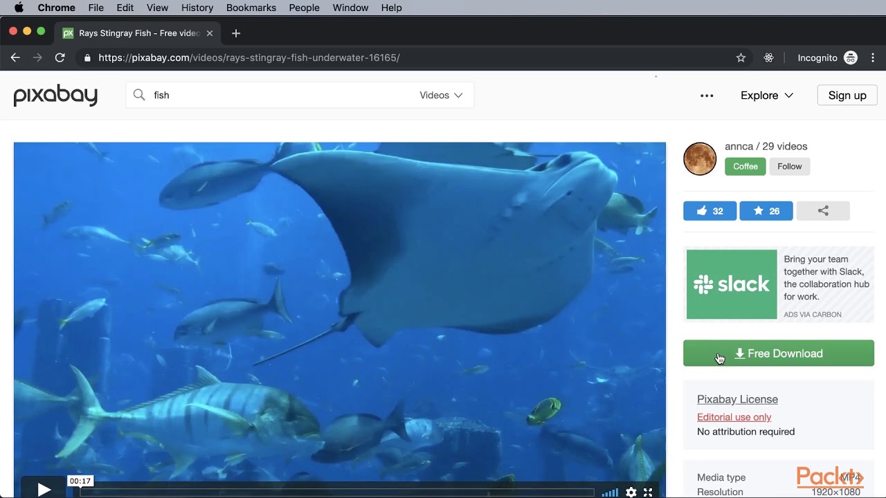 Getting Started with Adobe After Effects CC 2019 : Importing and Managing Clips | packtpub.com