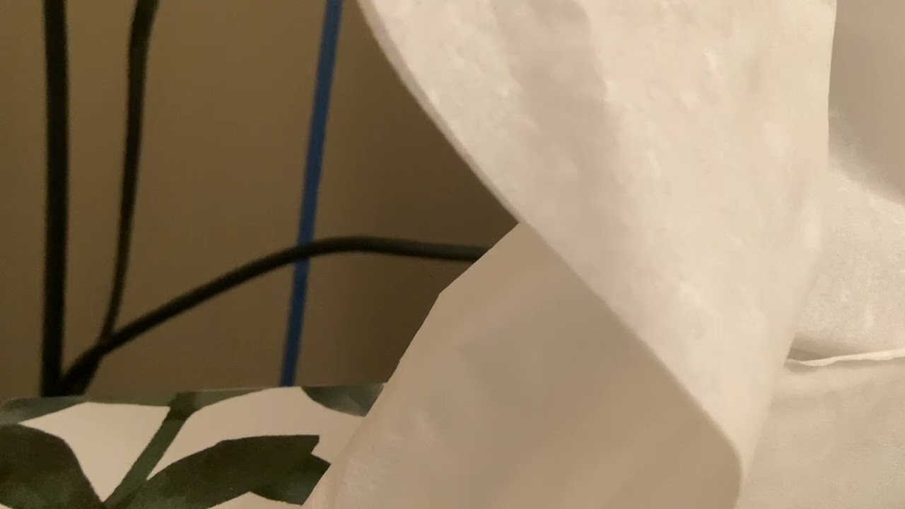 ASMR (don’t mind the end..)