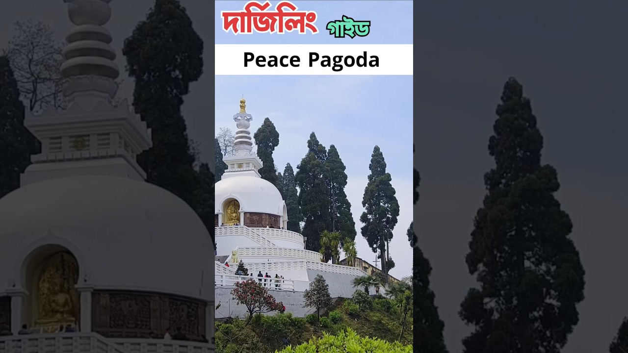 Darjeeling Tour Guide || Darjeeling Sightseeing || Peace Pagoda #peacepagoda #darjeeling