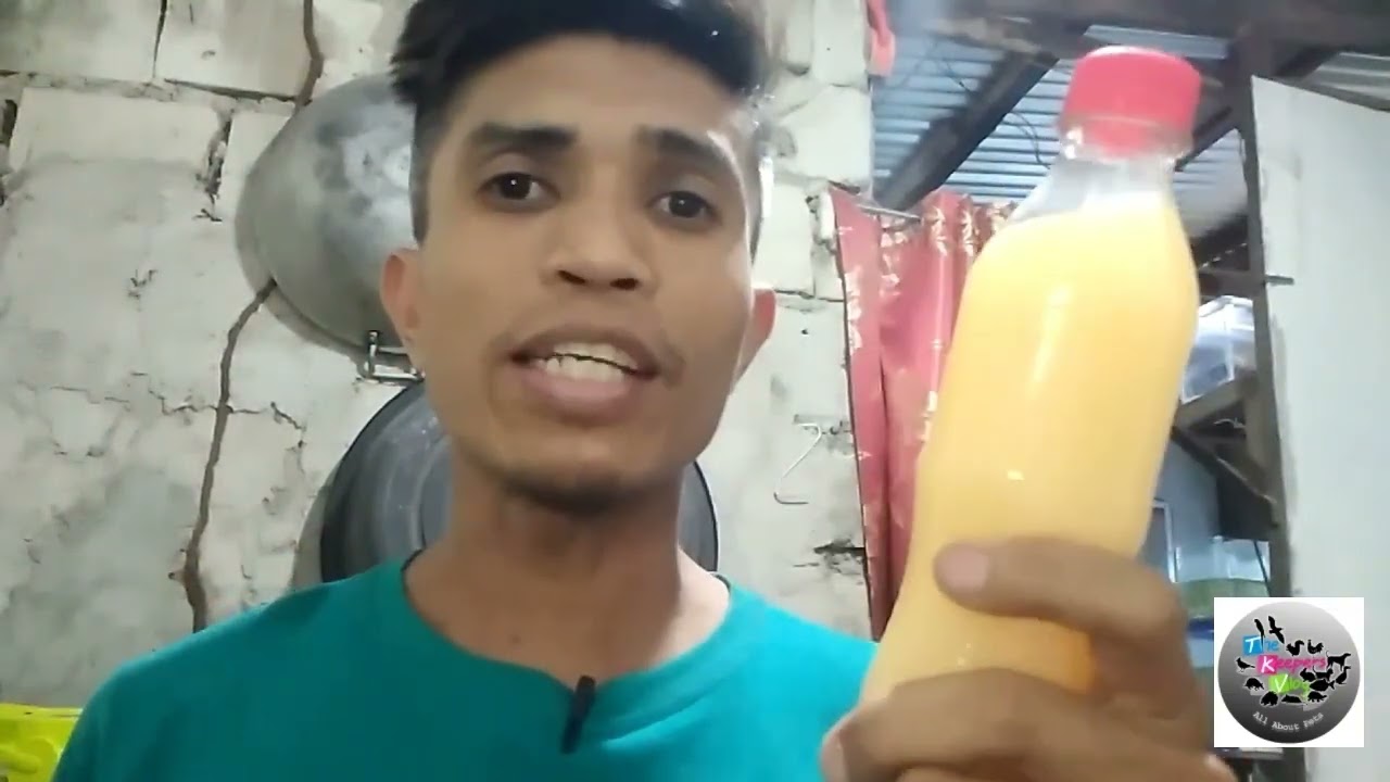 Anu ang unang Alternatibong pagkain ng mga betta fry? /betta fish.