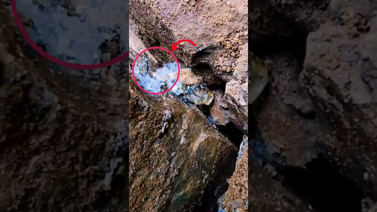 Encontrar estos diamantes le hizo el a&ntilde;o 🤑💎