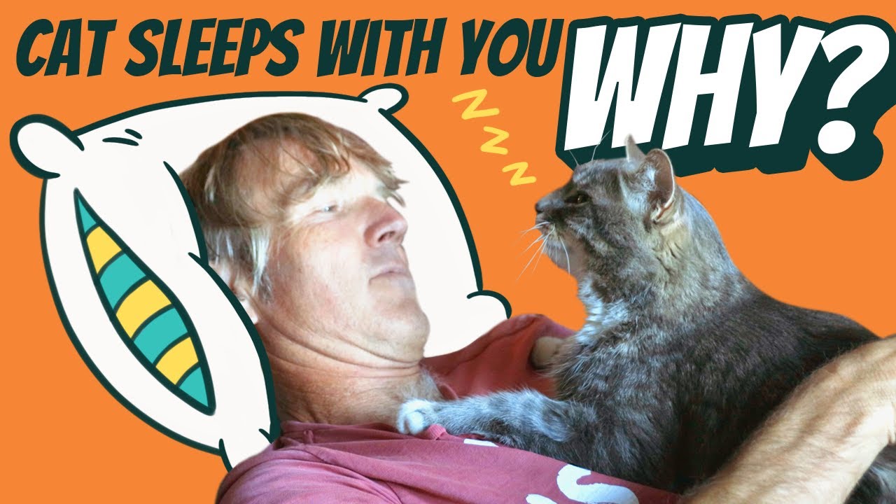 Why Cats Choose to Sleep With Their Owners? Discover the 5 Surprising Reasons!
