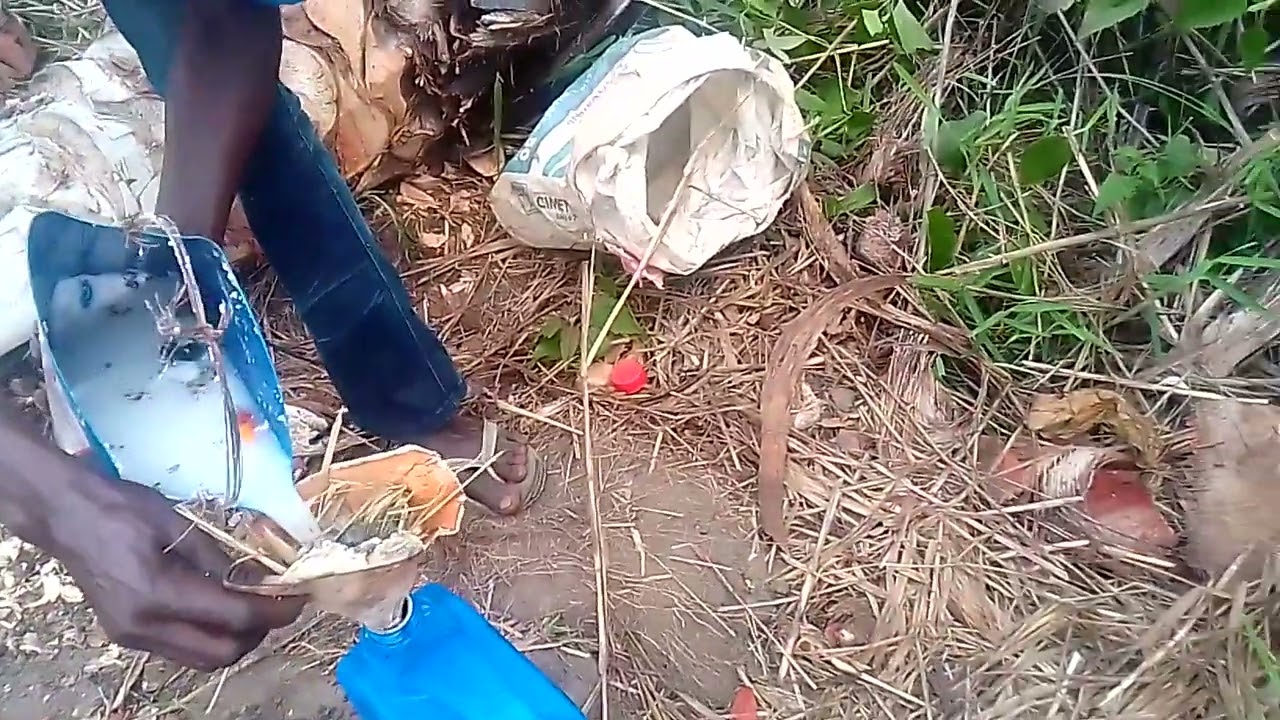 Masanga ya mbila
