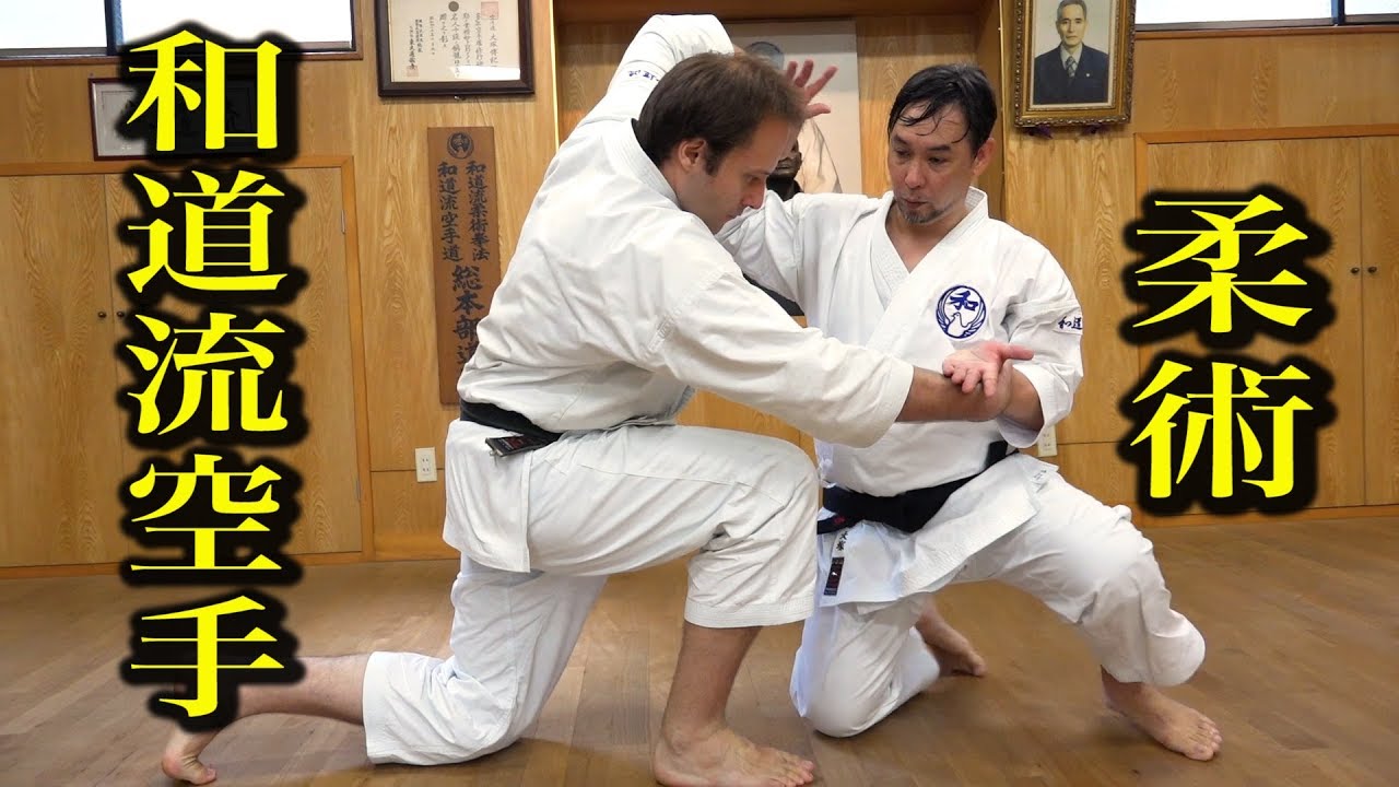 和道流空手に神道揚心流柔術を見た！Ju-jutsu technique in Wado-ryu Karate