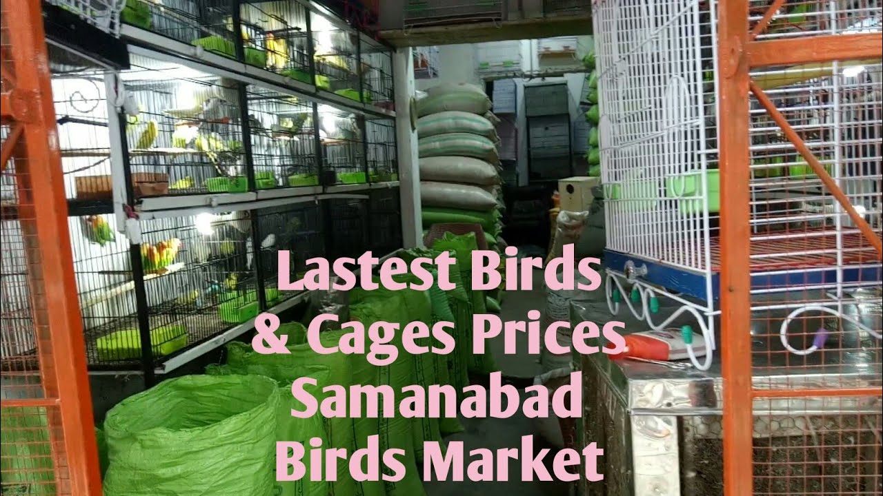 #Birds Market Lhr Visit Of Samanabad Birds Market Lahore July 12, 2020