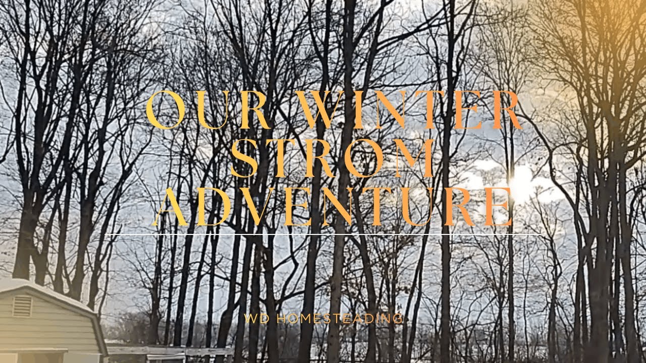 Our Winter Strom Adventure