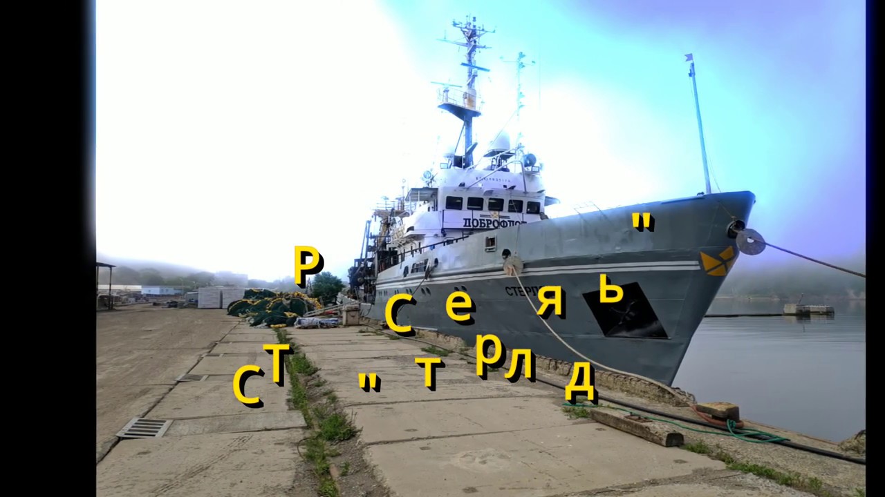 Трудная добыча иваси. СТР Стерлядь. Клип о процессе рыбалки.