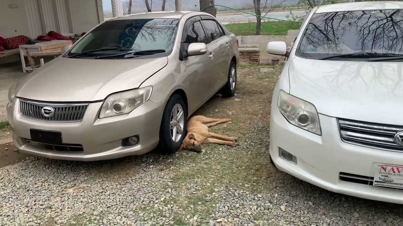 Non Custom Paid Car || Ncp car markit || low price
