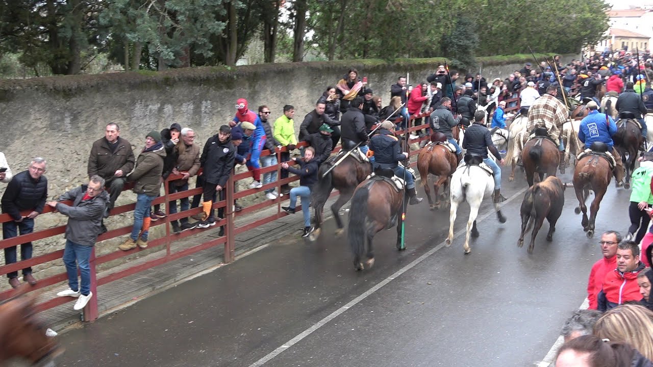 CIUDAD RODRIGO (SA) 2025- DOMINGO DE CARNAVAL- 02 DE MARZO