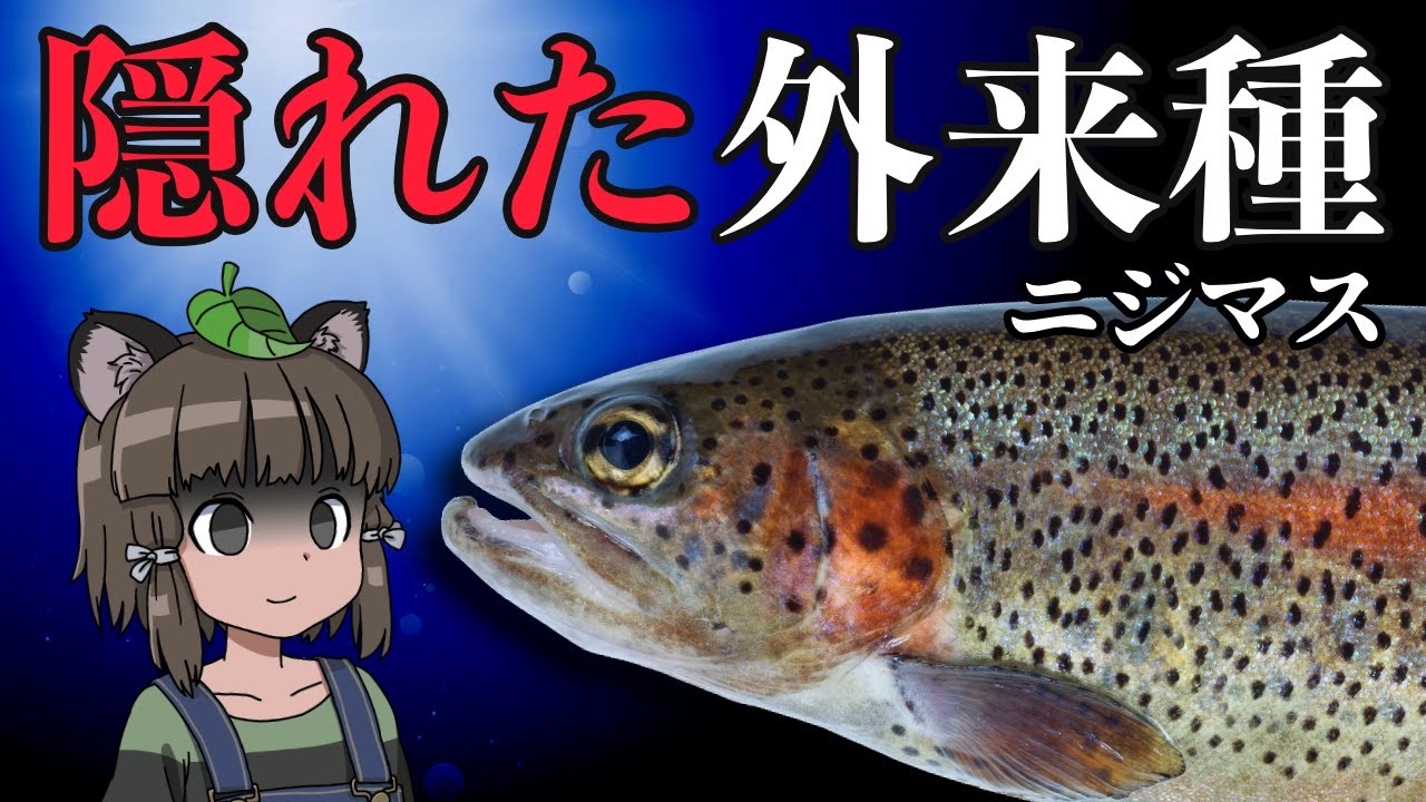 【闇深】知られざる外来種！ニジマスと放流問題