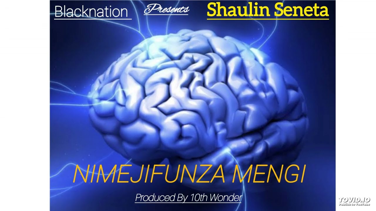 Shaulin Seneta - Nimejifunza Mengi [Produced By 10th Wonder]