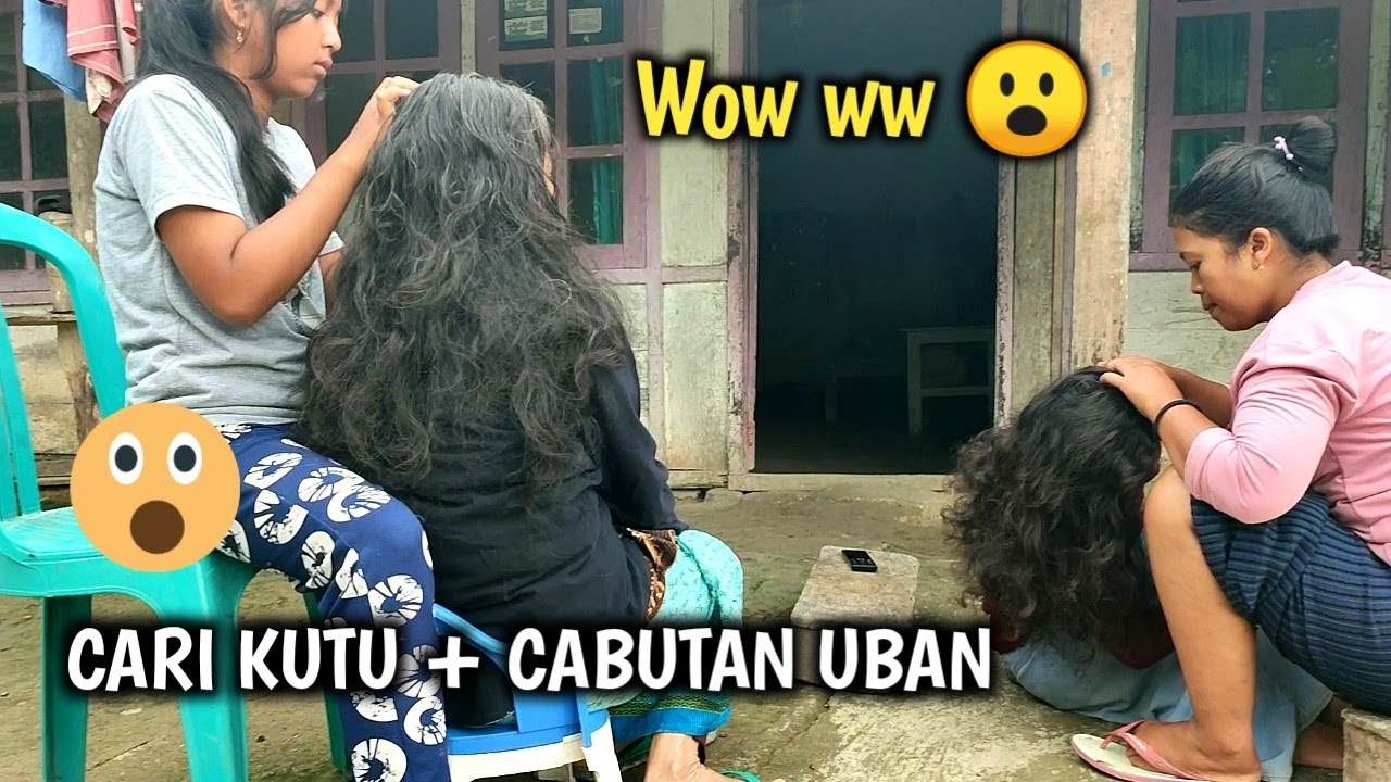 Cari kutu plus Cabut uban/Look for lice and pull out gray hair