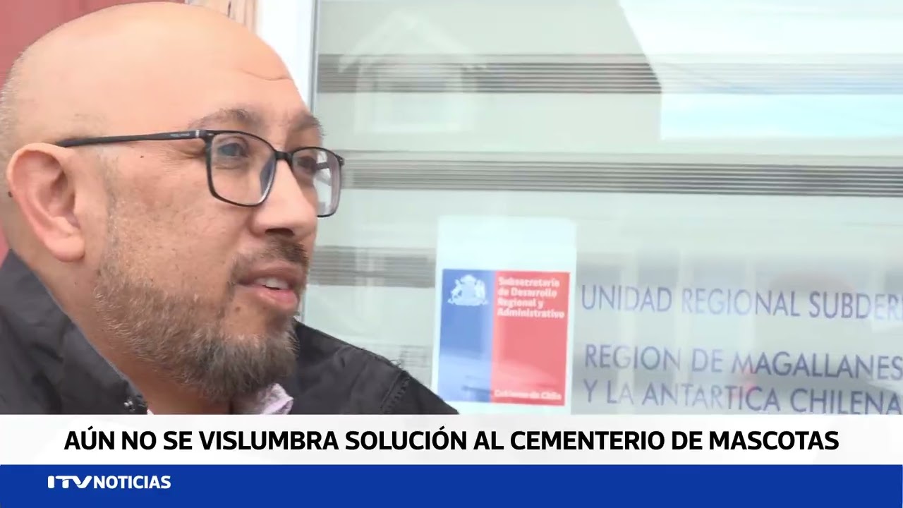 Sin solución cercana para cementerio de mascotas en Punta Arenas