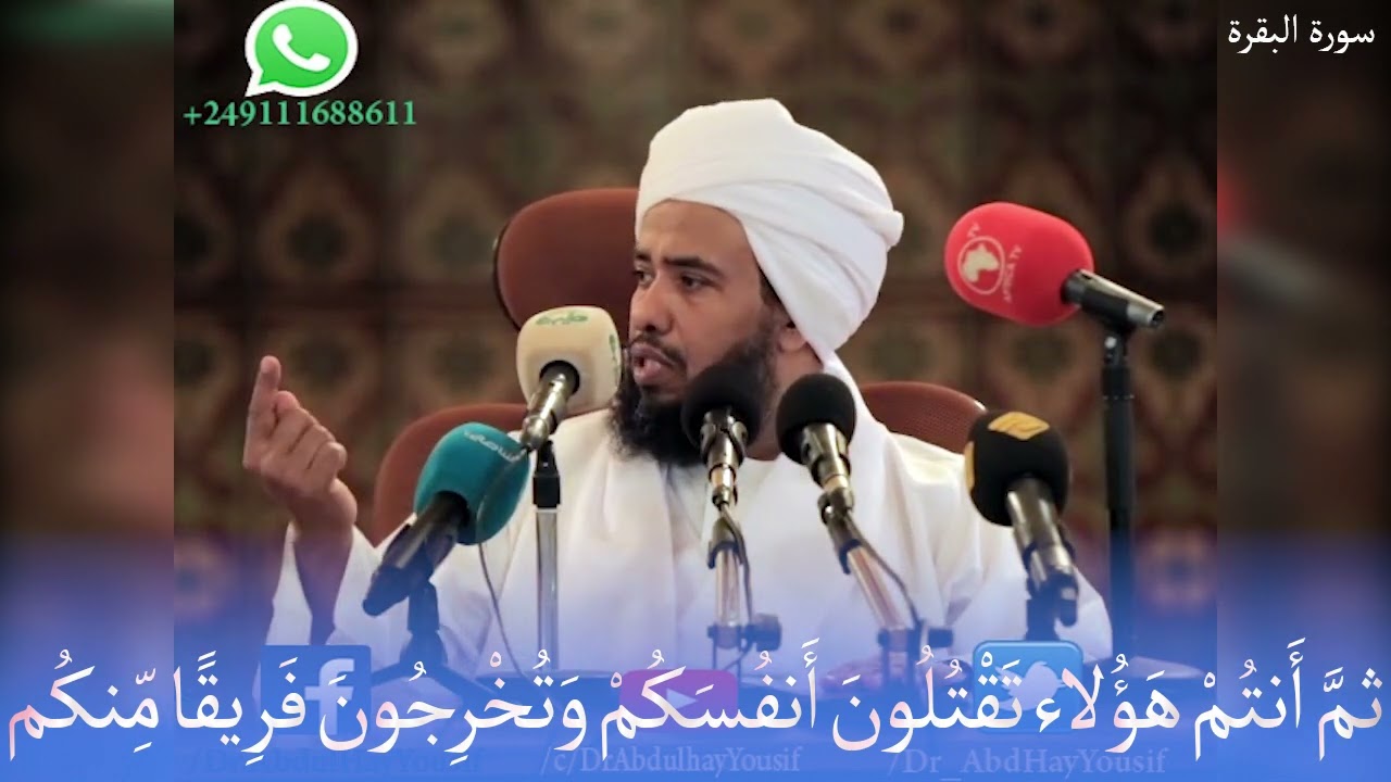 تفسير قوله تعالى : ثُمَّ أَنتُمْ هَؤُلاء تَقْتُلُونَ أَنفُسَكُمْ وَتُخْرِجُونَ فَرِيقًا مِّنكُم