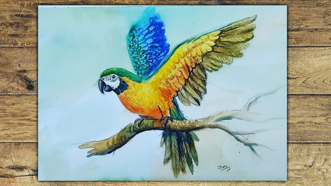 How to draw a parrot with watercolour