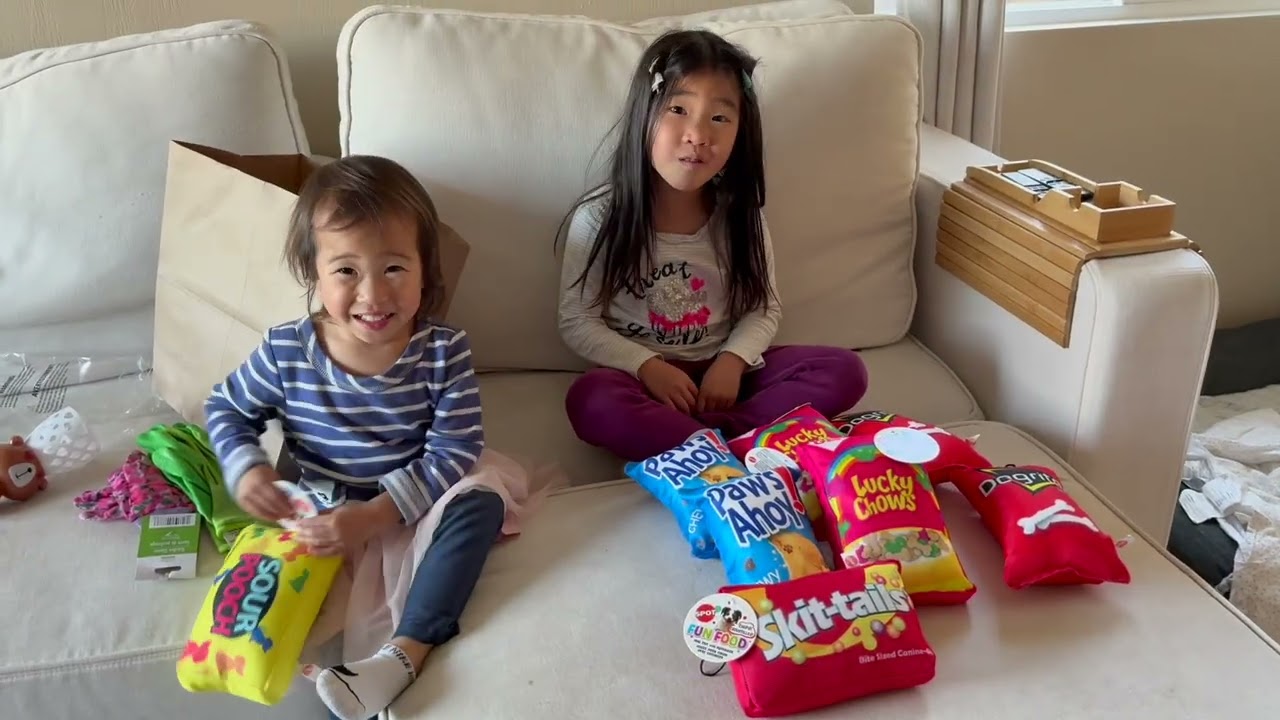 Vlog: January Highlights, Rolex's First Swim