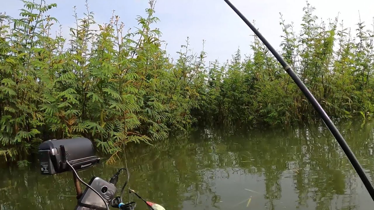 Spot idamanmu di Waduk Gajah Mungkur