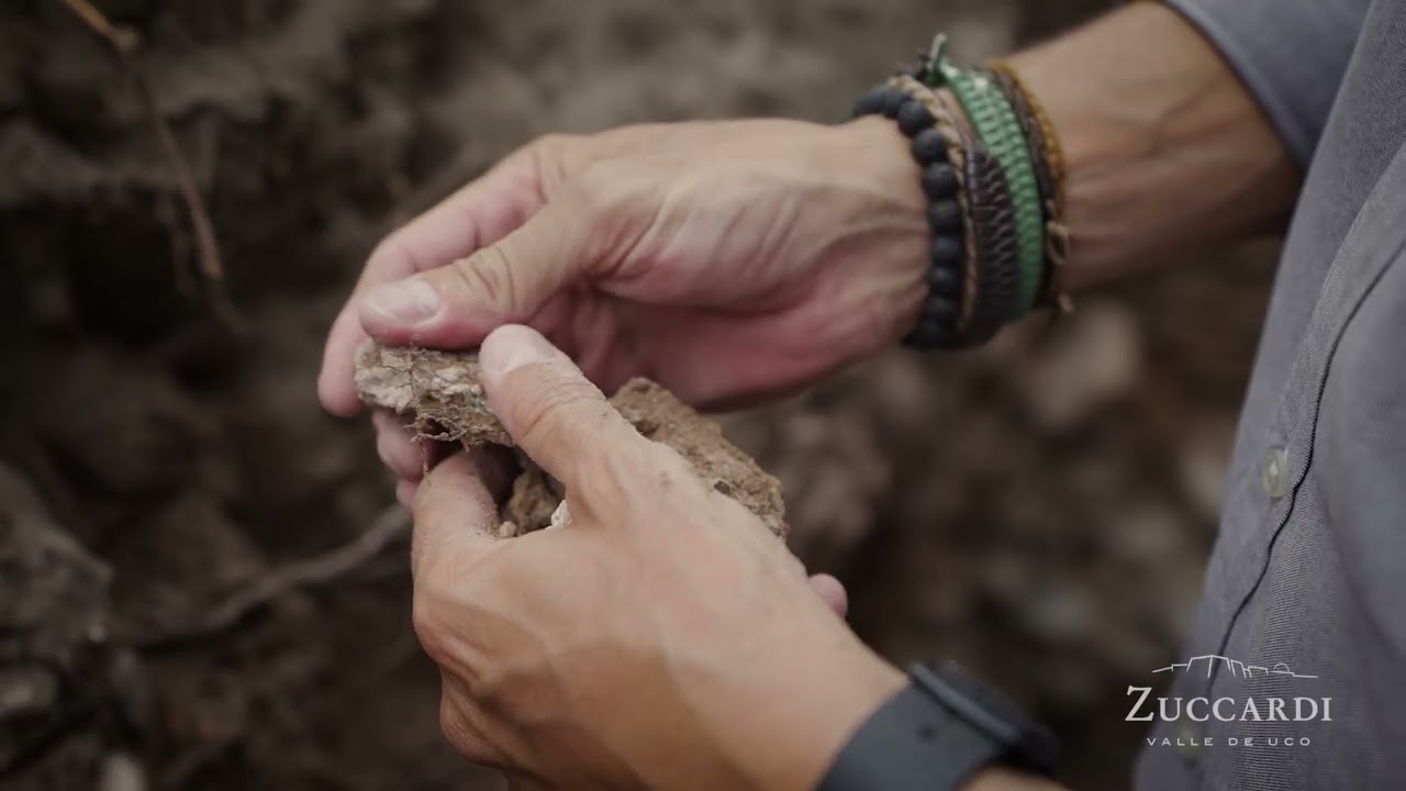 ZUCCARDI PIEDRA INFINITA | English