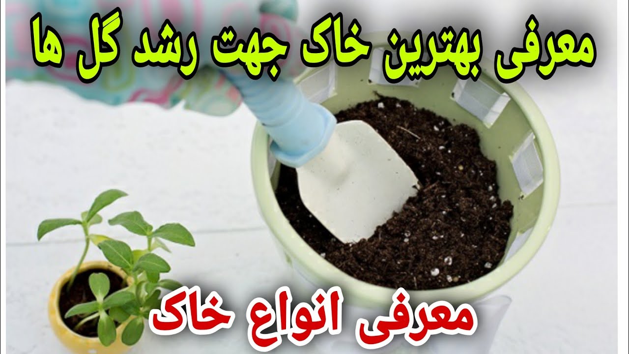 رشد گل های آپارتمانی:معرفی خاک مناسب وساخت خاک عالی برای رشدگل های آپارتمانی