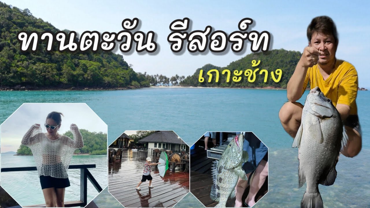 เกาะช้างเลี้ยวซ้าย ทานตะวันรีสอร์ท ที่พักตกปลาได้