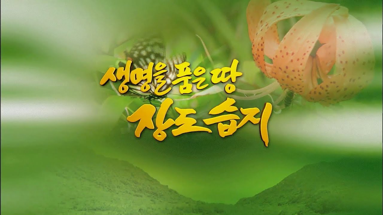 신안 장도(長島) 습지-한국의 3번째 람사르협약습지 [목포MBC 다큐]