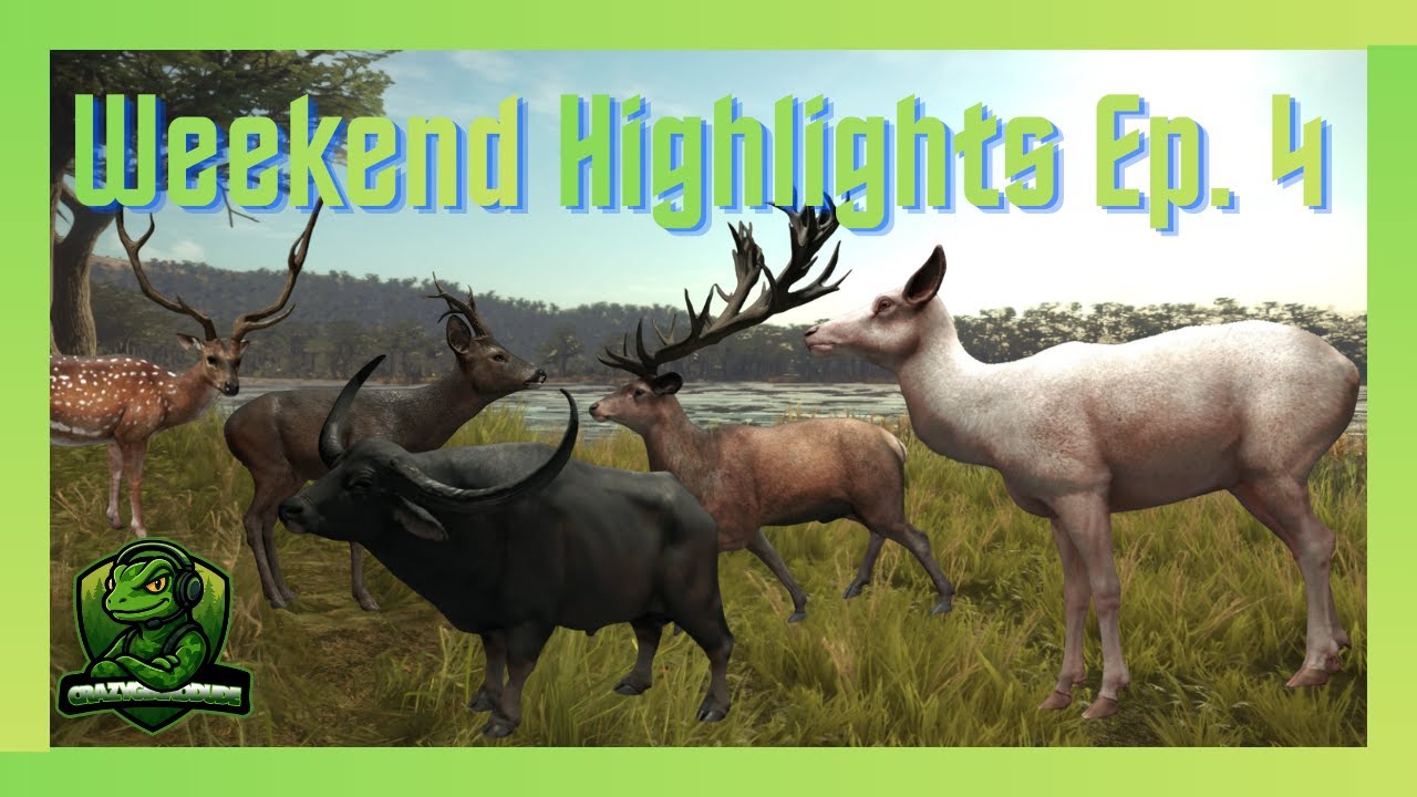 theHunter:COTW - Weekend Highlights Ep. 4