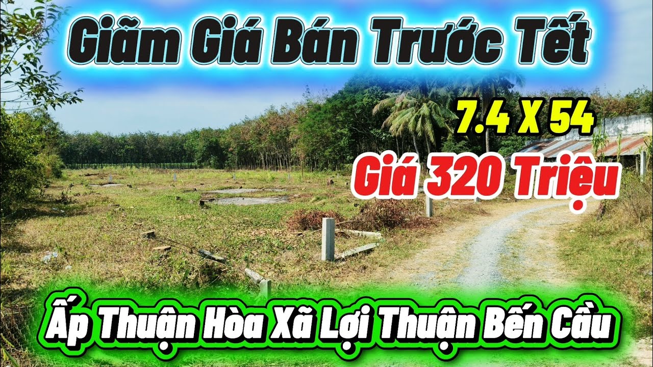 255☘️ Giảm Giá Sâu Bán Trước Tết// Cách Vòng Xoay Bến Cầu 3km Giá Chỉ Có 320 Triệu Hết Đất