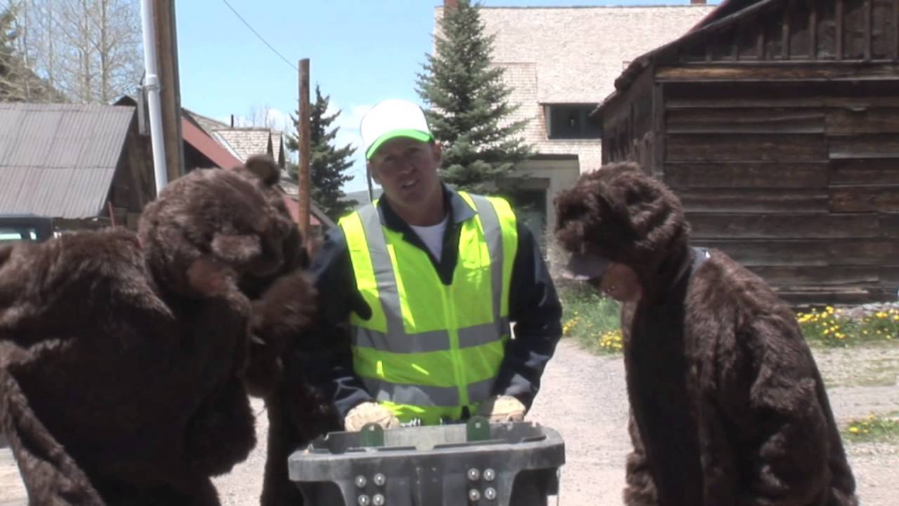 The Bears Are Back in Town