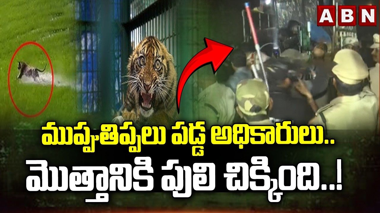 ముప్పుతిప్పలు పడ్డ అధికారులు.. మొత్తానికి పులి చిక్కింది..! | Rajahmundry Tiger Latest Updates | ABN