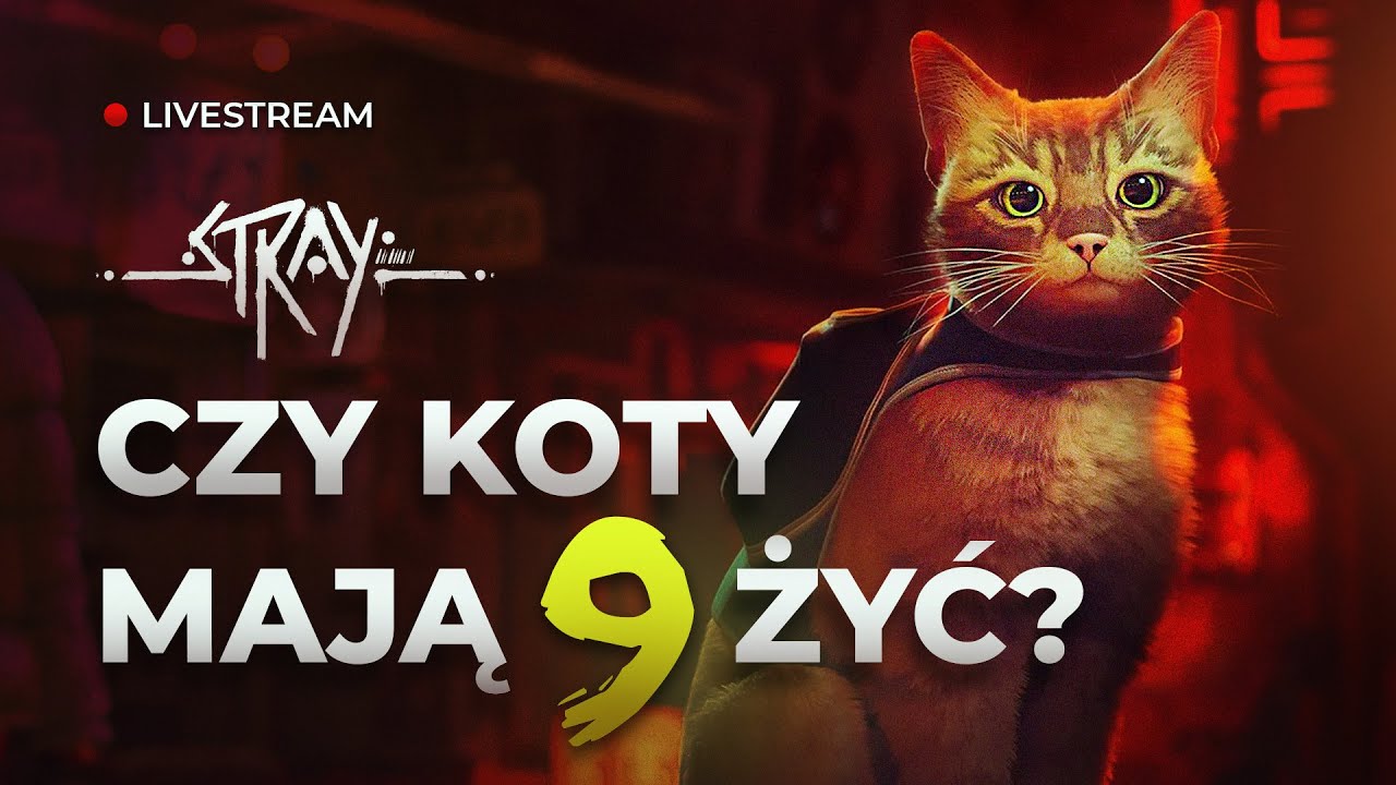 🎮 Ogrywamy STRAY | #1 Kocie Łapki | Analiza LIVE