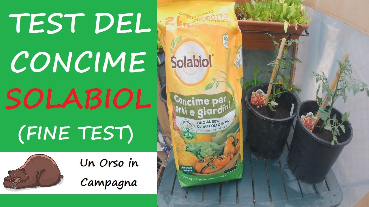 Test del concime per orti e giardini SOLABIOL sui pomodori. Ultima parte