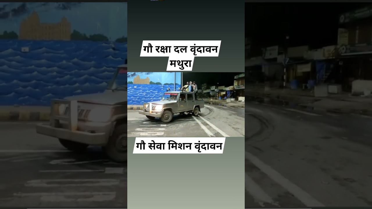 gau raksha dal Mathura vrindavan